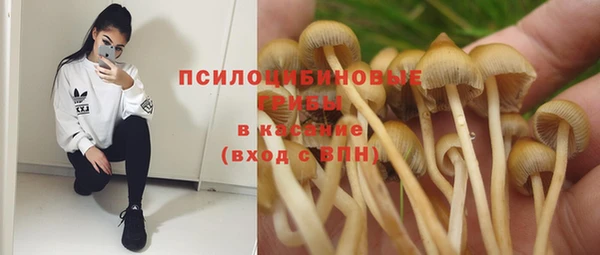 бошки Горняк
