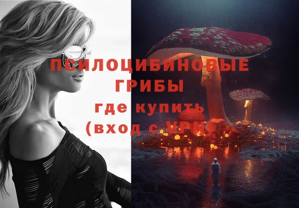 дмт Горнозаводск