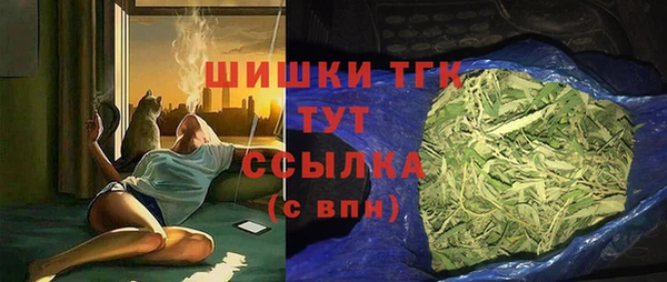 гашик Покачи