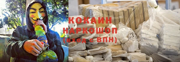 бошки Горняк