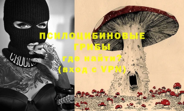 гидропоника Горно-Алтайск